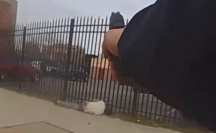 Detroit Officers Shoot Suspect After Brief Chase