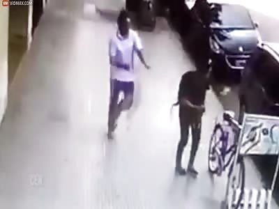 Sonofabitch !!! Scumbag stranger punches 63 yr old lady in the head from behind 