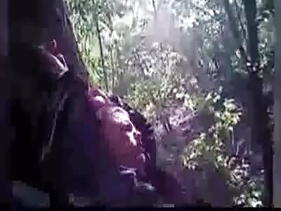 POLICE FIND MAN NAILED TO A TREE STILL ALIVE IN NEW MEXICO