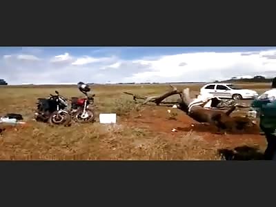 (Better angle) Unlucky man out fishing with family gets head crushed by the only tree around him