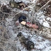 Three UA Soldiers Got Hit by RU Military.