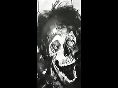 WEEGS OF theync.com #6