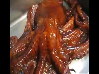 WEEGS OF theync.com #8