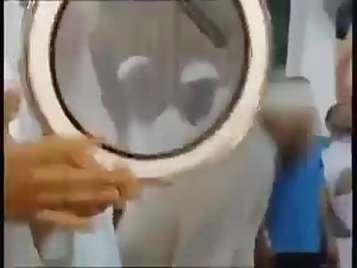 muslim faggots going full retard