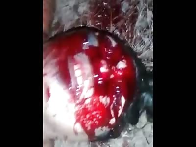 HD Firearm Executions Compilation 