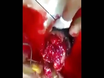 HD Murder & Mutilation Compilation 2