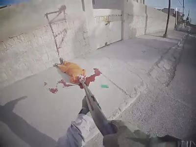 Cracked Skulls & Splattered Brains Compilation Volume 1 