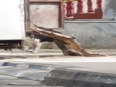 How India Transports Their Corpses To The Morgue