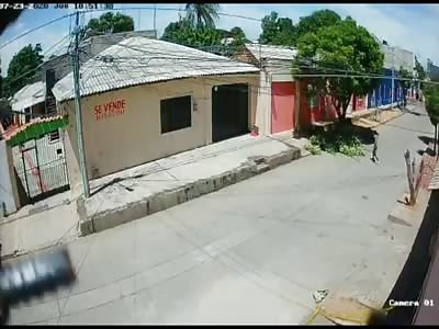 A Man Pruning A Tree Is Shot To Death 