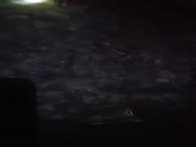 Man Dismembered By Train