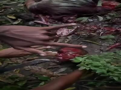 Another Normal Day In Brazil. 