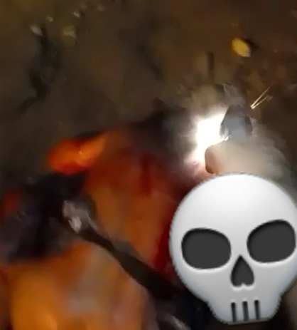 Another Day Another Murder In Ecuador