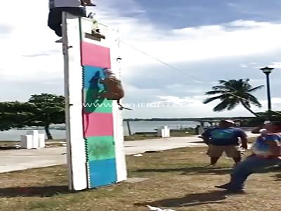 Pit Bull Scales A 15Ft Wall