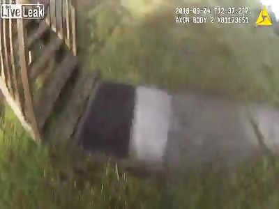 Bodicam shows officer deploy K9 on fleeing driver of stolen vehicle