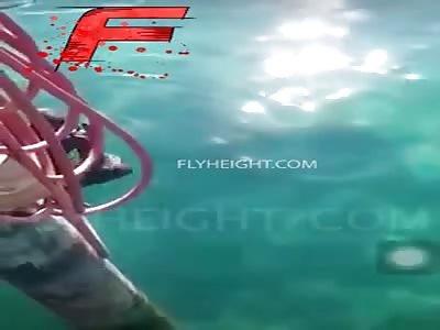 Dude is almost eaten