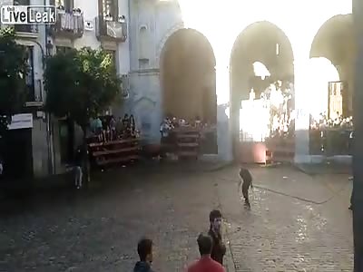 Bull's first assault, KO !