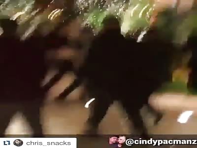 Gypsy Fight in Las Vegas Superbowl 