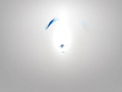 Man attacked by lion