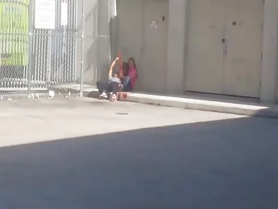 Several injured and it is estimated that 5 dead in attack on fort lauderdale