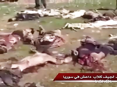 Several bodies of isis members are collected