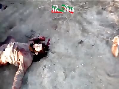 Iraqi force destroyed isis