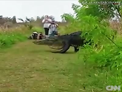 GIANT CROCODIL Look at this big-ass alligator