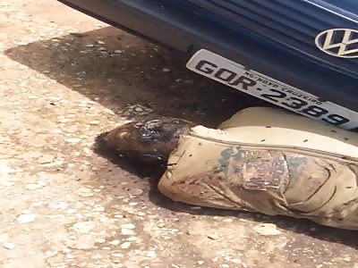 Men found dead and full of flies