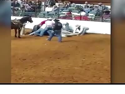 Horse hits his head and dies