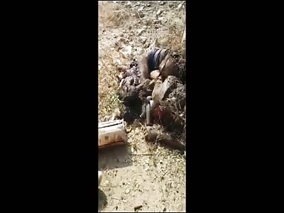 Dead soldiers being eaten by bugs and flies