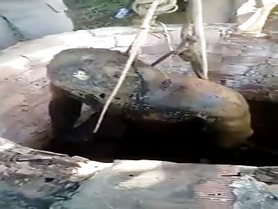 Man found in a Well Fund decomposition state