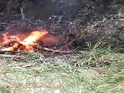 Young girl is burned on a farm in Brazil