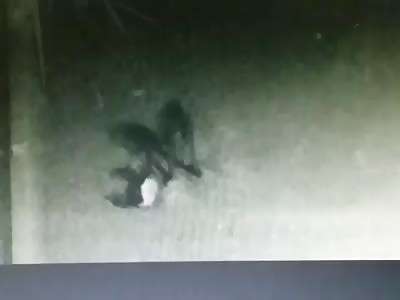 BRUTAL MURDER WITH KNIFE