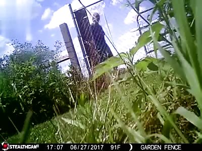 Longtime feud between Indiana neighbors leads to shootout