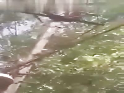 (another angle) suicide boy