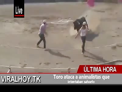 Animalist seriously injured by