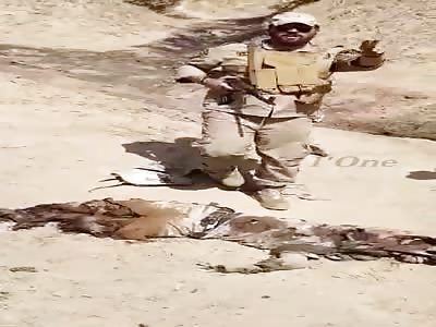 Soldier fail in battle