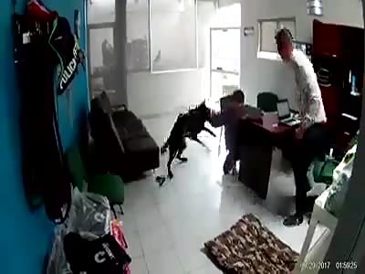 (Simulacrum Video)  defender you own 