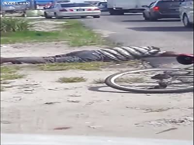 Man gets attacked by swarm of bees