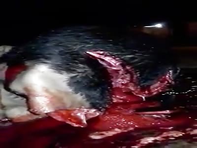 man killed with shotgun on head