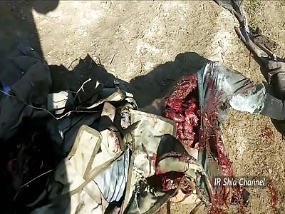 ISIS Destroyed on Battlefield (New)