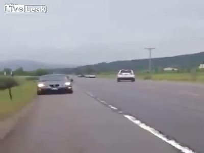 When Moose And Car Meet 