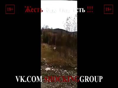 Alzamay, Irkutsk Region, Russian Federation. Flooding a bear on a bull