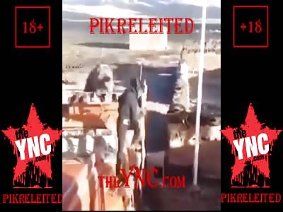 Bears went to the factory. Russia