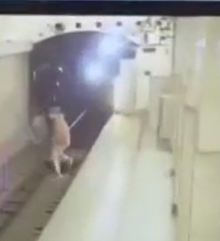 Student Suicide In The Metro Of St. Petersburg Russia