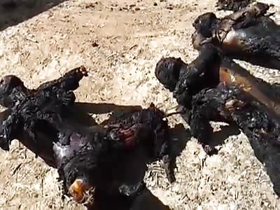 Unknown Burned Corpses