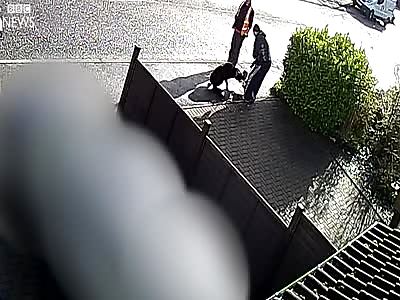 SMALL YORKIE DOG MAULED TO DEATH BY BIGGER DOG