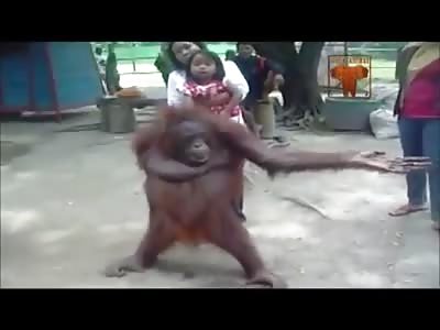  Orangutan used as a Sexual Slavery in Palm Oil Industry