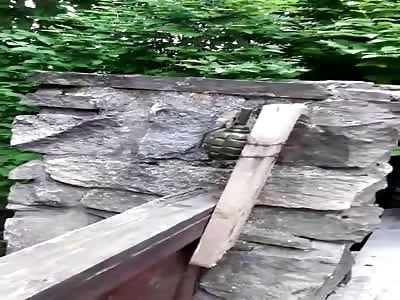  protect their small gardens from burglars