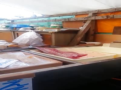 Help, my sushi shrugs!