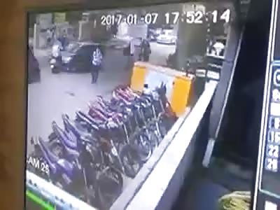 idiot ape driving a car 